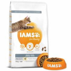 IAMS Krmivo Cat Adult/Senior Indoor Chicken 10kg