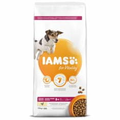 IAMS Krmivo Dog Senior Small & Medium Chicken 12kg 