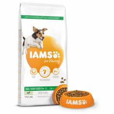 IAMS Krmivo Dog Adult Small & Medium Lamb 12kg 
