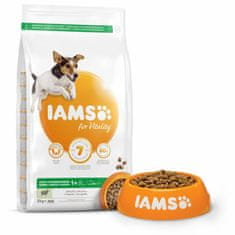 IAMS Krmivo Dog Adult Small & Medium Lamb 3kg 