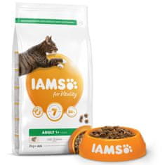 IAMS Krmivo Cat Adult Salmon 2kg