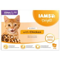 IAMS Kapsička Delights Kitten kuře v omáčce multipack 1020g (12x85gr)
