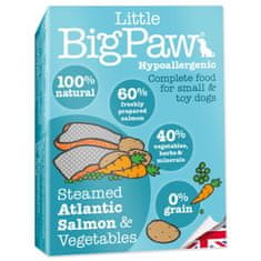 Little Big Paw Vanička losos se zeleninou 150g
