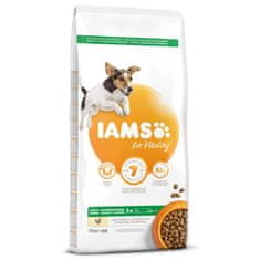 IAMS Krmivo Dog Adult Small & Medium Chicken 12kg