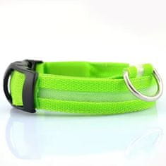 IZMAEL Svítící obojek pro psa s USB nabíjením-Zelená/M KP30728