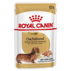 Royal Canin kapsička Jezevčík 12 x 85 g