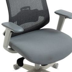 Autronic Kancelářská židle, šedý plast, šedá průžná látka a mesh, 4D područky, multifunkční mech.