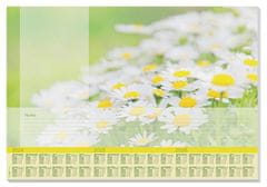 Sigel Podložka na stůl "Lovely Daisies", 595 x 410 mm, HO307