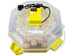 BRAVSON Automatická líheň na vejce CLEO 5 DTH AUTOMATIC