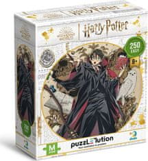 Dodo Toys Puzzle Harry Potter: Mladý kouzelník 250 dílků