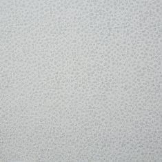 Eurofirany Eurofirany Dekorativní běhoun EDNA 40x140 bílý zdobený stříbrnou nití