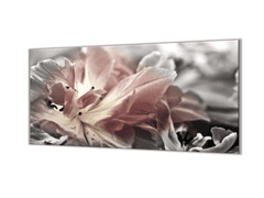 Glasdekor Ochranná deska abstraktní šedý tulipán - Ochranná deska: 50x50cm, Lepení na zeď: S lepením na zeď