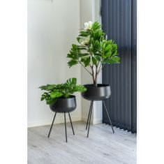 House Nordic Umělá rostlina, zelená\nH:45 cm
