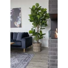 House Nordic Strom s houslovými listy Ficus lyrata 190cm
