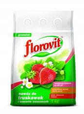 Florovit Hnojivo pro jahody a ovocné keře 1 kg granulátu