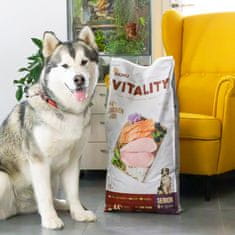 Akinu VITALITY dog senior medium/large chicken & fish 12kg