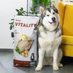 Akinu VITALITY dog adult large chicken 12kg