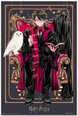 CurePink Plakát Harry Potter: Harry (61 x 91,5 cm) 150g
