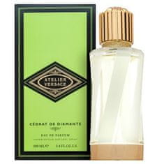 Versace Cedrat De Diamante parfémovaná voda unisex 100 ml