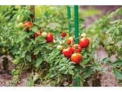 sarcia.eu Potažená tyč na rostliny, podpěra rajčat 16 mm/120 cm 1 kusy