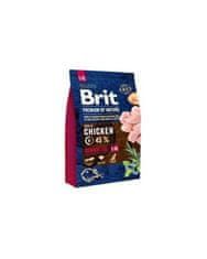 Brit Brit Premium by Nature dog Senior L+ XL 3 kg krmiva pro psy