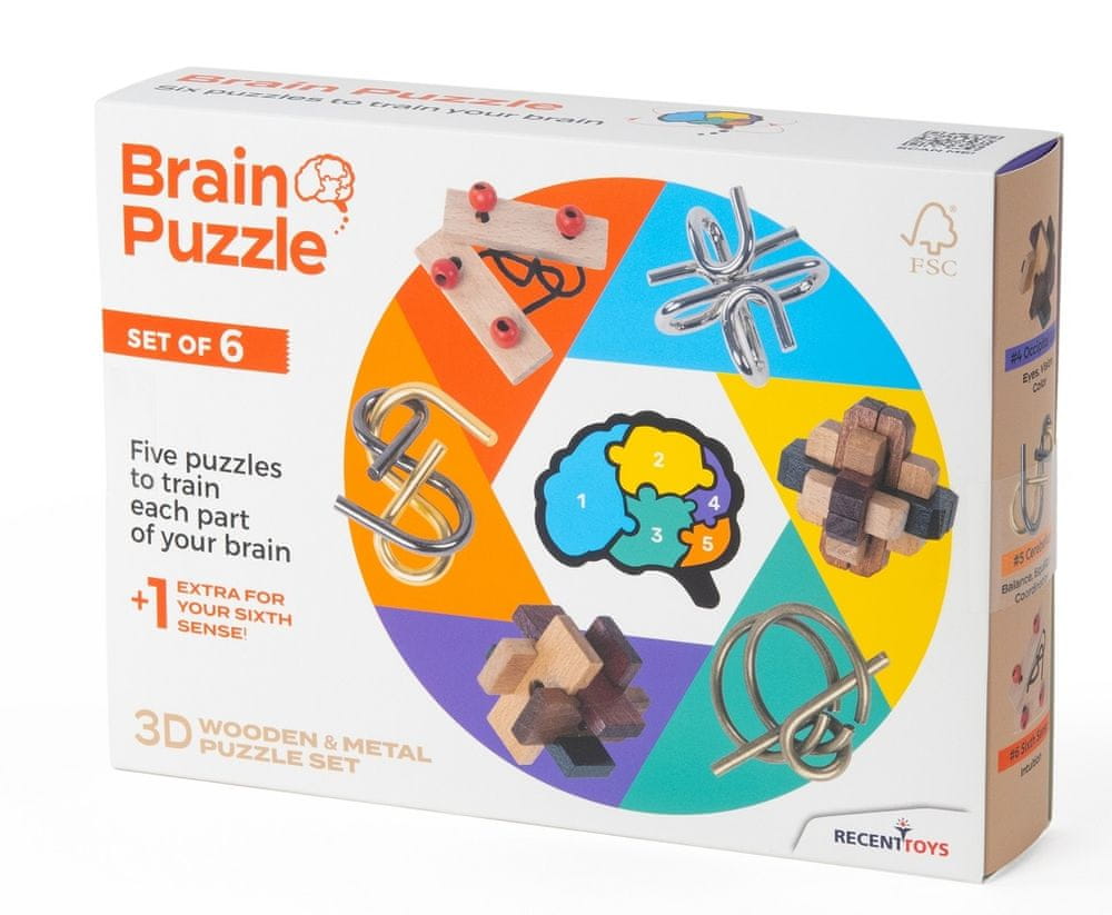 Levně Recent Toys Brain Puzzle - sada 6 kusů
