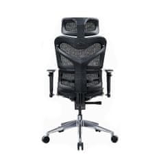 Dalenor Ergonomická kancelářská židle Tech Max, síťovina, černá