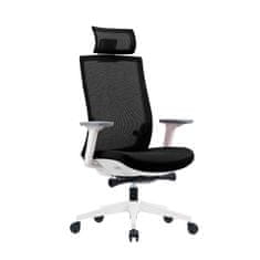 Dalenor Ergonomická kancelářská židle Meteor White, síťovina, černá