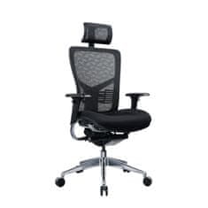 Dalenor Ergonomická kancelářská židle Tech Pro, síťovina, černá