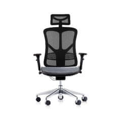 Dalenor Ergonomická kancelářská židle Tech Style, síťovina, černá