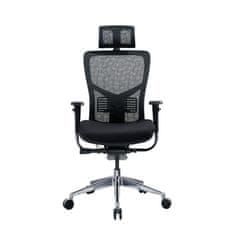 Dalenor Ergonomická kancelářská židle Tech Pro, síťovina, černá