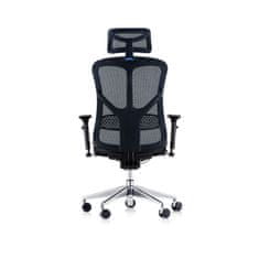 Dalenor Ergonomická kancelářská židle Tech Style, síťovina, černá