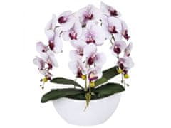 sarcia.eu Umělá orchidej v květináči, bílá a fialová, živá, 3 výhonky 53 cm 