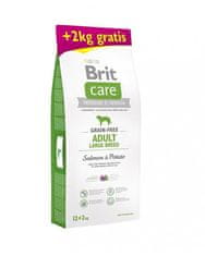 Brit BRIT Care dog Grain free Adult Large Breed Salmon & Potato 12 + 2 kg krmiva pro psy