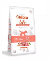 Calibra Calibra Dog Life Starter &amp; Puppy Lamb 0,75 kg krmivo pro psy