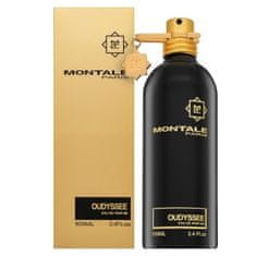 Montale Paris Oudyssee parfémovaná voda unisex 100 ml