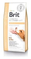 Brit Brit Veterinary Diets GF dog Hepatic 12 kg krmivo pro psy