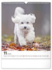Presco Publishing Nástěnný kalendář Psi 2025, 30 × 34 cm