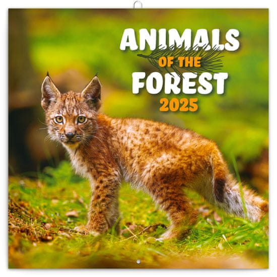 Grooters Poznámkový kalendář Zvířátka z lesa 2025, 30 × 30 cm