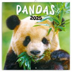 Grooters Poznámkový kalendář Pandy 2025, 30 × 30 cm