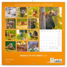Presco Publishing Poznámkový kalendář Zvířátka z lesa 2025, 30 × 30 cm