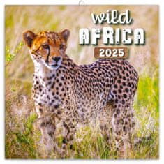 Presco Publishing Poznámkový kalendář Divoká Afrika 2025, 30 × 30 cm