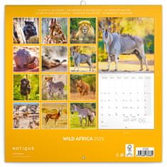 Grooters Poznámkový kalendář Divoká Afrika 2025, 30 × 30 cm