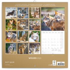 Presco Publishing Poznámkový kalendář Vlci 2025, 30 × 30 cm