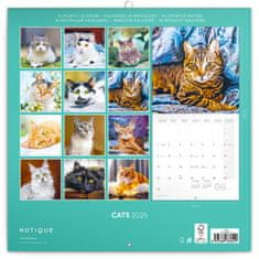Presco Publishing Poznámkový kalendář Kočky 2025, 30 × 30 cm