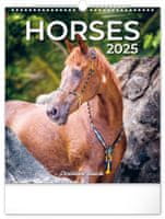 Nástěnný kalendář koně