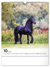 Grooters Nástěnný kalendář Koně 2025, 30 × 34 cm