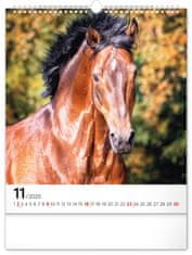 Presco Publishing Nástěnný kalendář Koně 2025, 30 × 34 cm