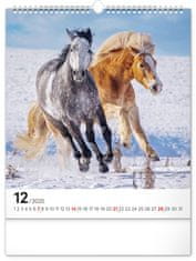 Presco Publishing Nástěnný kalendář Koně 2025, 30 × 34 cm