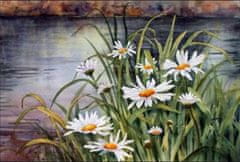 Norimpex Diamantová mozaika Daisy Flowers by the Pond 30X40 cm